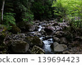 Beautiful mountain stream 139694423