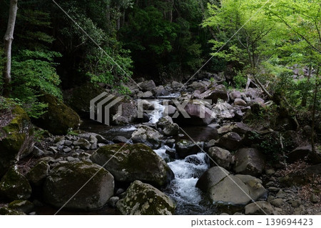 Beautiful mountain stream Beautiful mountain stream 139694423