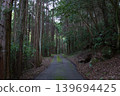 Forest road surrounded by fresh greenery 139694425