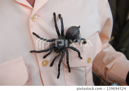 Edible spiders Edible spiders 139694524