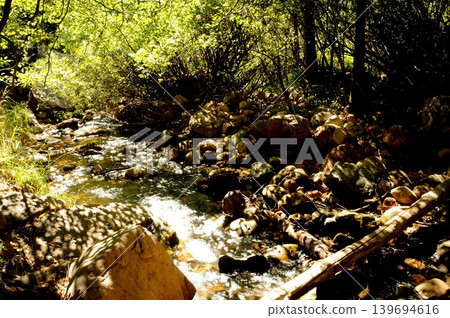 Tonto Creek in white mountains Arizona Tonto Creek in white mountains Arizona 139694616