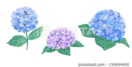 一組水彩風格的手繪繡球花插圖 139694698
