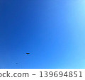 兩隻鳥在藍天中飛翔 139694851