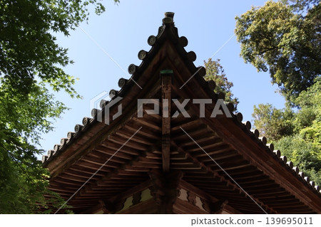 Structure Structure 139695011