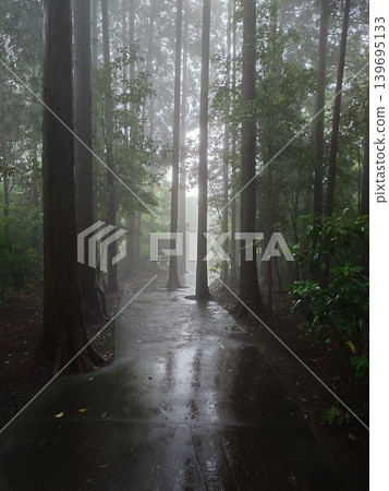 Misty road Misty road 139695133
