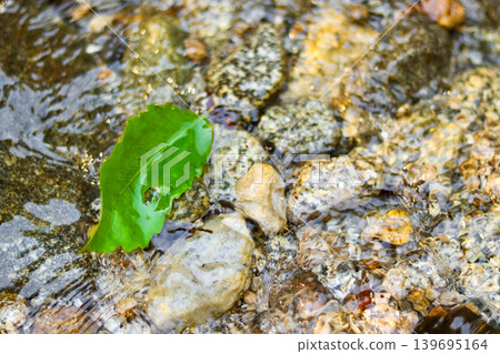 潺潺流水中的一片樹葉 潺潺流水中的一片樹葉 139695164