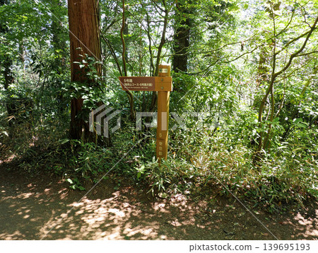 [Mountain Sign] Mt. Takao, Tokyo - Route 5 (Management Number: 105-S-110) (2026) 139695193