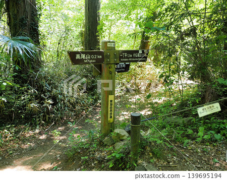 [Mountain Sign] Mt. Takao, Tokyo - Takao, Iccho-daira & Otaru Pass Junction (Management Number: 111-S-020) (2026) 139695194