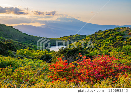 【靜岡縣】從箱根岳眺望富士山,日落時分,山上的杜鵑花正盛開。 【靜岡縣】從箱根岳眺望富士山,日落時分,山上的杜鵑花正盛開。 139695243
