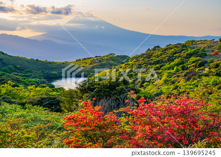 【靜岡縣】從箱根岳眺望富士山,日落時分,山上的杜鵑花正盛開。 【靜岡縣】從箱根岳眺望富士山,日落時分,山上的杜鵑花正盛開。 139695245