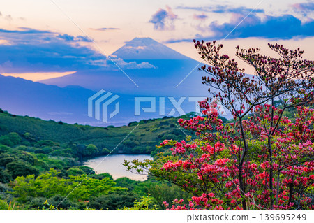 【靜岡縣】從箱根岳眺望富士山,日落時分,山上的杜鵑花正盛開。 【靜岡縣】從箱根岳眺望富士山,日落時分,山上的杜鵑花正盛開。 139695249