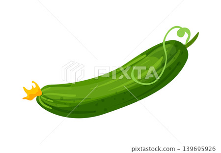 Cartoon vector illustration of a fresh cucumber isolated on a white background for vegetable food design. 139695926