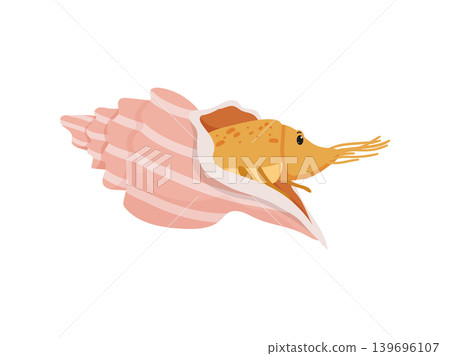 Conch Shell with Hermit Crab 139696107