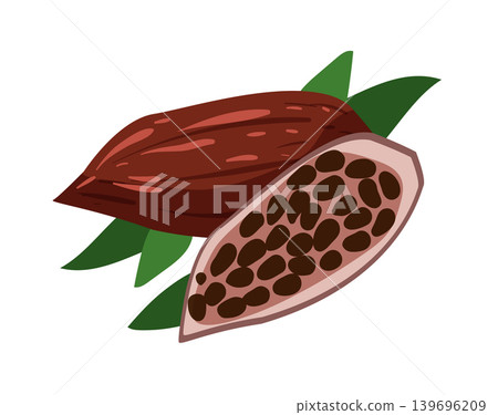 Cartoon vector illustration of an opened cocoa pod with beans isolated on a white background for natural food design. Cartoon vector illustration of an opened cocoa pod with beans isolated on a white background for natural food design. 139696209