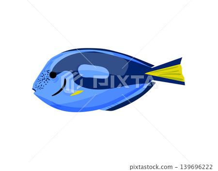 Blue Tang Fish Illustration Blue Tang Fish Illustration 139696222