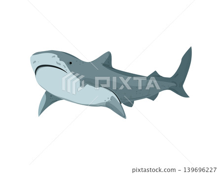 Shark Illustration Shark Illustration 139696227