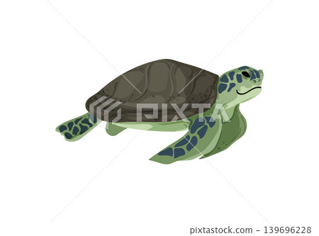 Sea Turtle Illustration Sea Turtle Illustration 139696228