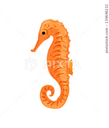 Seahorse Illustration Seahorse Illustration 139696232