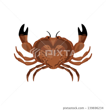 Crab Illustration 139696234