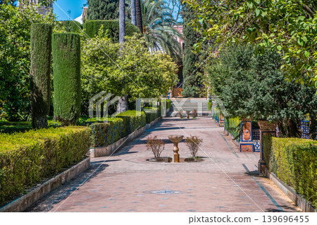 Formal Palm Garden Formal Palm Garden 139696455