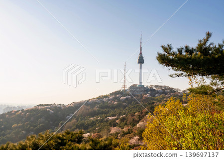 Seoul Tower in Namsan Mountain with cherry blossom at sunset Seoul Tower in Namsan Mountain with cherry blossom at sunset 139697137