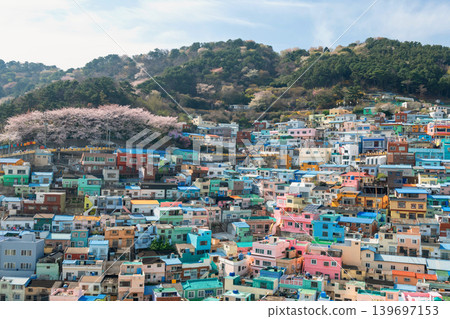 Top view of Gamcheon Village wth cherry blossom in spring, Busan Top view of Gamcheon Village wth cherry blossom in spring, Busan 139697153
