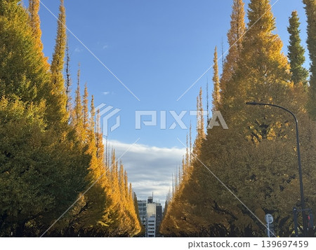 Ginkgo tree-lined street, autumn foliage, one of Japan's most beautiful landscapes. Ginkgo tree-lined street, autumn foliage, one of Japan's most beautiful landscapes. 139697459