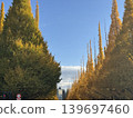 Ginkgo tree-lined street, autumn foliage, one of Japan's most beautiful landscapes. 139697460