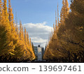 Ginkgo tree-lined street, autumn foliage, one of Japan's most beautiful landscapes. 139697461