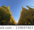 Ginkgo tree-lined street, autumn foliage, one of Japan's most beautiful landscapes. 139697463
