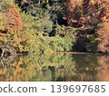 Autumn foliage: Japan's most spectacular scenery 139697685