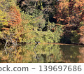 Autumn foliage: Japan's most spectacular scenery 139697686