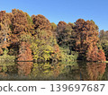 Autumn foliage: Japan's most spectacular scenery 139697687
