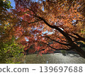 Autumn foliage: Japan's most spectacular scenery 139697688
