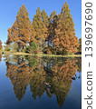 Autumn foliage: Japan's most spectacular scenery 139697690