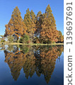 Autumn foliage: Japan's most spectacular scenery 139697691