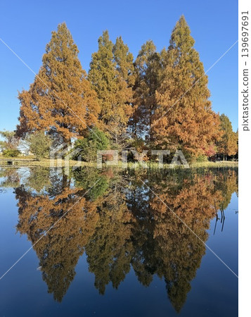 Autumn foliage: Japan's most spectacular scenery Autumn foliage: Japan's most spectacular scenery 139697691