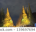 Autumn foliage: Japan's most spectacular scenery 139697694