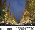 Ginkgo bunches 139697730