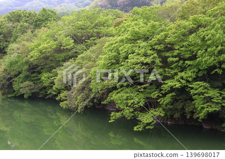 Arakawa River in fresh greenery: View from Yorii Bridge (Yorii Town, Osato District, Saitama Prefecture) Arakawa River in fresh greenery: View from Yorii Bridge (Yorii Town, Osato District, Saitama Prefecture) 139698017
