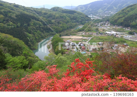 金山杜鵑與秩父鐵路線（埼玉縣大里郡寄居町） 139698163