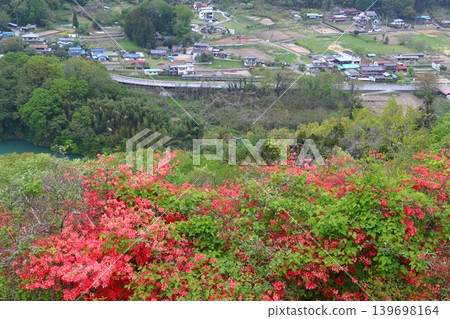 金山杜鵑與秩父鐵路線(埼玉縣大里郡寄居町) 金山杜鵑與秩父鐵路線(埼玉縣大里郡寄居町) 139698164