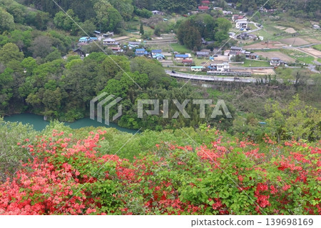 金山杜鵑與秩父鐵路線（埼玉縣大里郡寄居町） 139698169