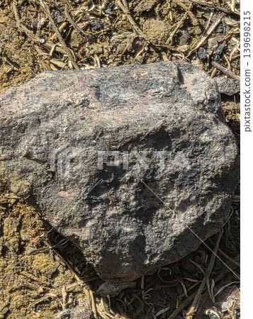 A top-down view of natural grey rocks surrounded by green grass and dry leaves in the sunlight. A top-down view of natural grey rocks surrounded by green grass and dry leaves in the sunlight. 139698215