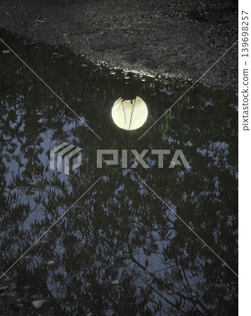 Reflection of street lamp in puddle. 139698257