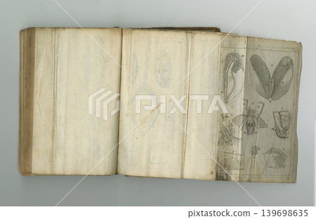 Medical, book and drawing of anatomy on paper in antique, vintage or old science textbook with knowledge. Archive, research and diagram on parchment for notes, information and study of organ Medical, book and drawing of anatomy on paper in antique, vintage or old science textbook with knowledge. Archive, research and diagram on parchment for notes, information and study of organ 139698635