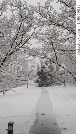 Snowy garden path winding under snow-covered tree branches in winter park. Snowy garden path winding under snow-covered tree branches in winter park. 139699055