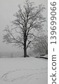 Large bare tree standing in deep winter snow during heavy blizzard. 139699066