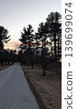 Empty paved road running alongside tall pine trees at sunset. 139699074