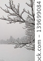 Snow-covered tree branches close up during heavy winter blizzard. 139699084